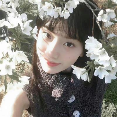美人攻略
