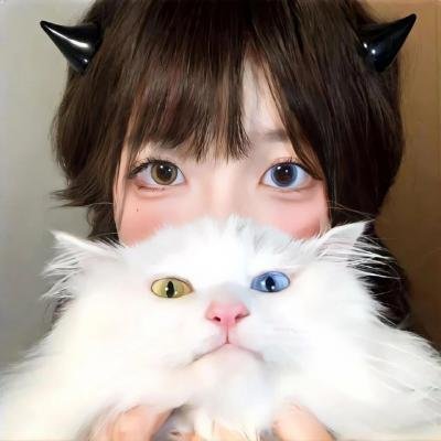 黑色孤儿：回响